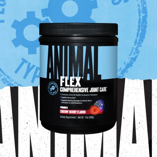 ANIMAL FLEX 348g